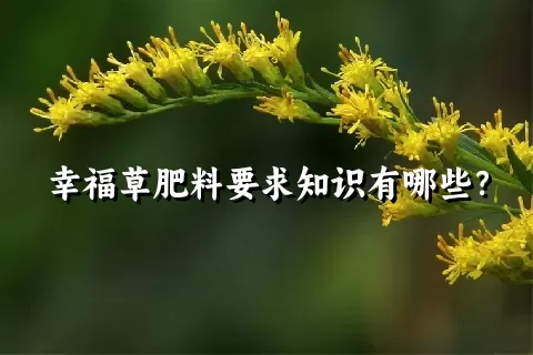 幸福草肥料要求知识有哪些？