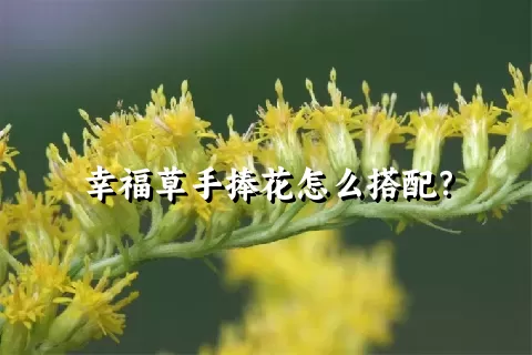 幸福草手捧花怎么搭配？