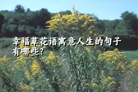 幸福草花语寓意人生的句子有哪些？