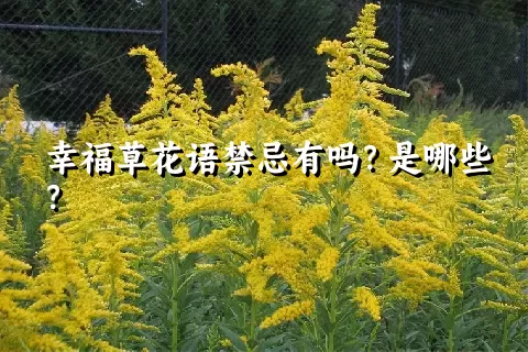 幸福草花语禁忌有吗？是哪些？