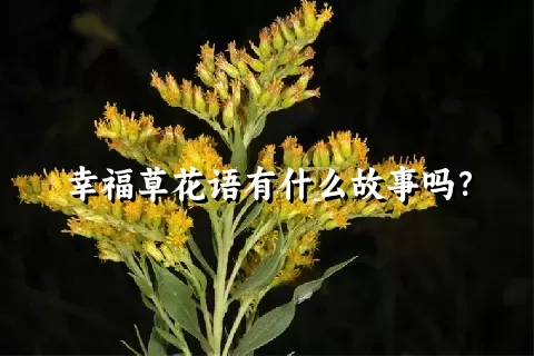 幸福草花语有什么故事吗？