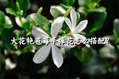 大花艳苞莓手捧花怎么搭配？