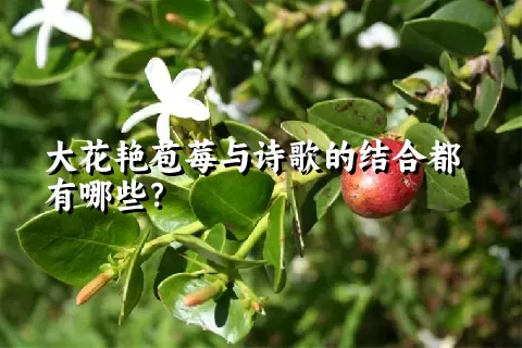 大花艳苞莓与诗歌的结合都有哪些？