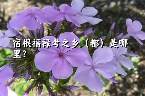 宿根福禄考之乡（都）是哪里？