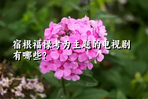 宿根福禄考为主题的电视剧有哪些？