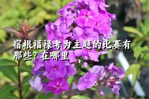 宿根福禄考为主题的比赛有那些？在哪里