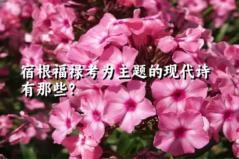 宿根福禄考为主题的现代诗有那些？