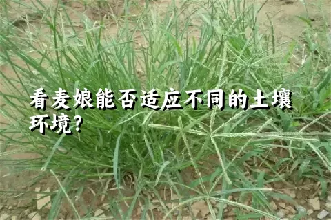 看麦娘能否适应不同的土壤环境？