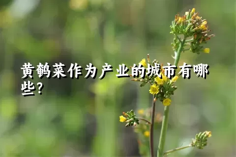 黄鹌菜作为产业的城市有哪些？