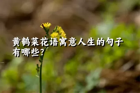 黄鹌菜花语寓意人生的句子有哪些？