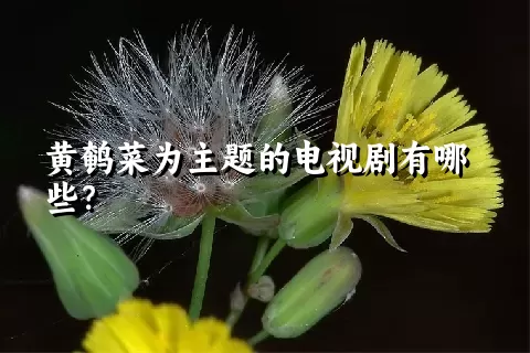 黄鹌菜为主题的电视剧有哪些？