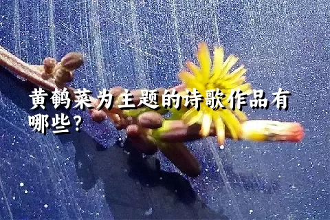 黄鹌菜为主题的诗歌作品有哪些？