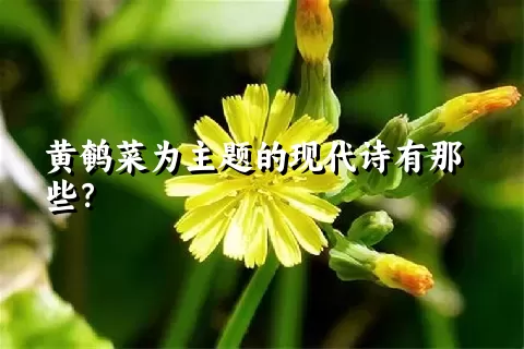 黄鹌菜为主题的现代诗有那些？