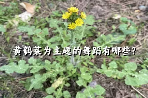 黄鹌菜为主题的舞蹈有哪些？