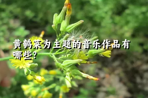 黄鹌菜为主题的音乐作品有哪些？