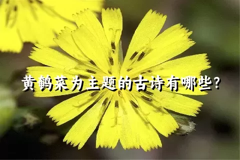 黄鹌菜为主题的古诗有哪些？