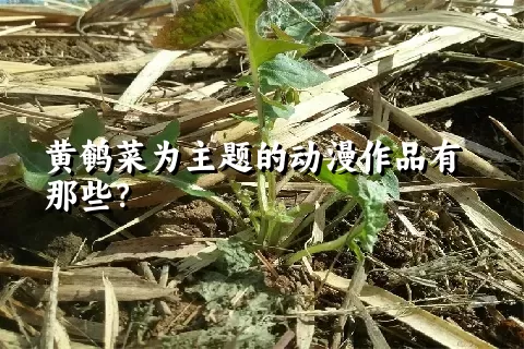 黄鹌菜为主题的动漫作品有那些？