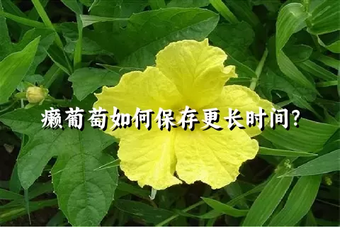 癞葡萄如何保存更长时间？