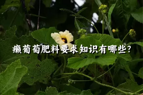 癞葡萄肥料要求知识有哪些？