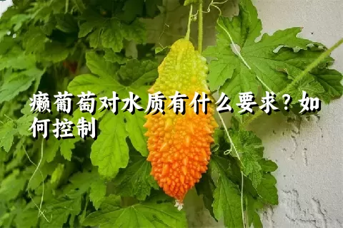 癞葡萄对水质有什么要求？如何控制