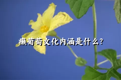 癞葡萄文化内涵是什么？