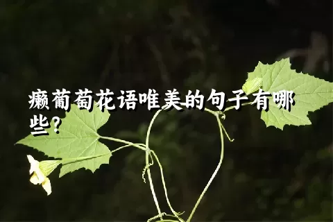 癞葡萄花语唯美的句子有哪些？