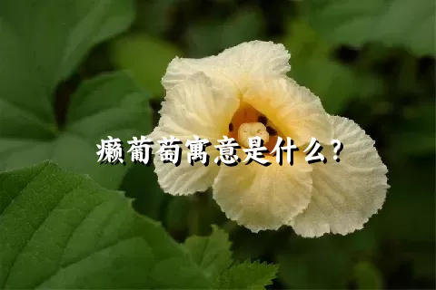 癞葡萄寓意是什么？