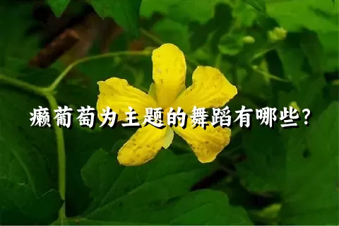 癞葡萄为主题的舞蹈有哪些？