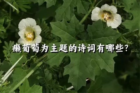 癞葡萄为主题的诗词有哪些？