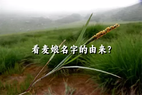 看麦娘名字的由来？