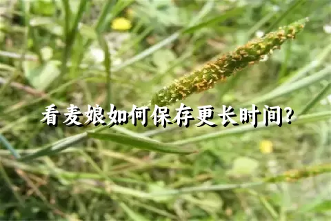 看麦娘如何保存更长时间？