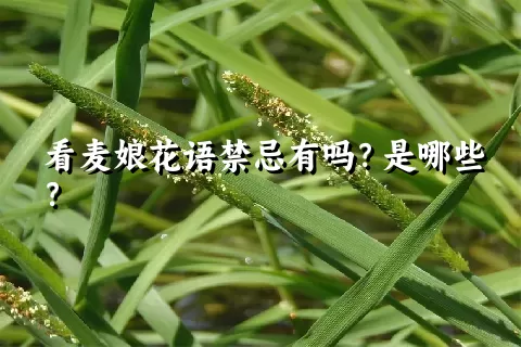 看麦娘花语禁忌有吗？是哪些？