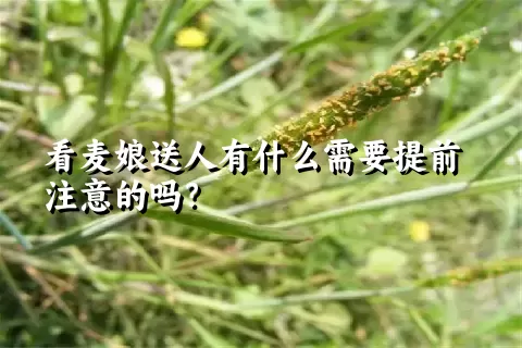 看麦娘送人有什么需要提前注意的吗？