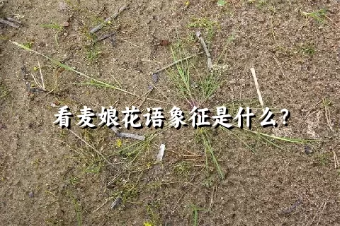 看麦娘花语象征是什么？