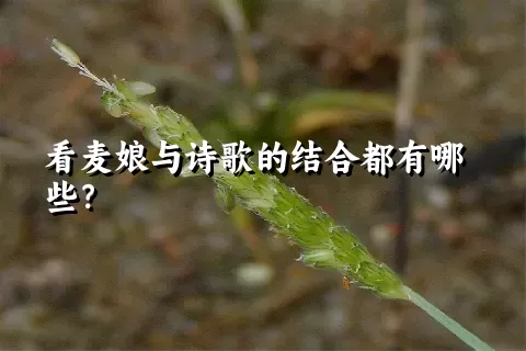 看麦娘与诗歌的结合都有哪些？