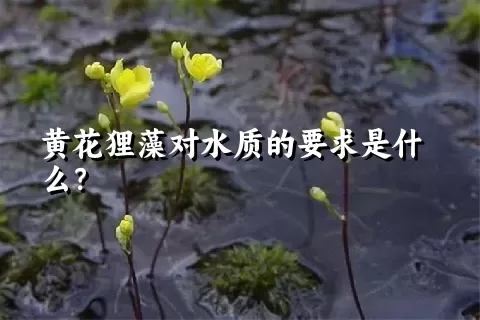 黄花狸藻对水质的要求是什么？