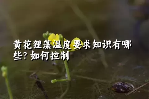 黄花狸藻温度要求知识有哪些？如何控制