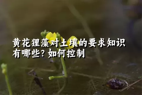 黄花狸藻对土壤的要求知识有哪些？如何控制