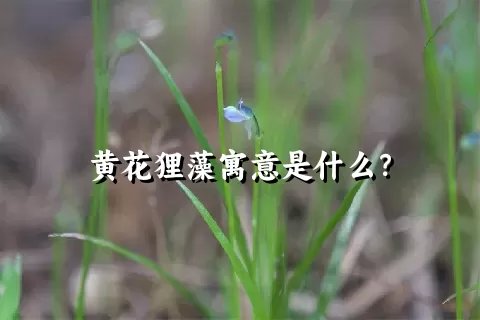 黄花狸藻寓意是什么？