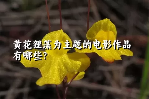 黄花狸藻为主题的电影作品有哪些？