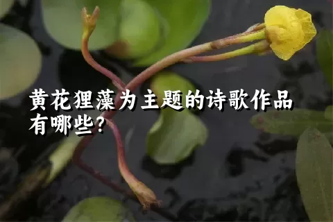 黄花狸藻为主题的诗歌作品有哪些？