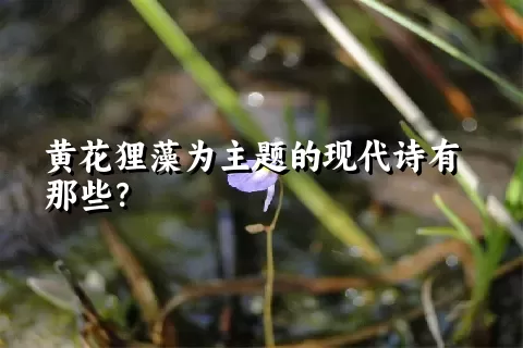 黄花狸藻为主题的现代诗有那些？