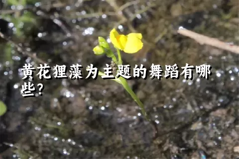 黄花狸藻为主题的舞蹈有哪些？