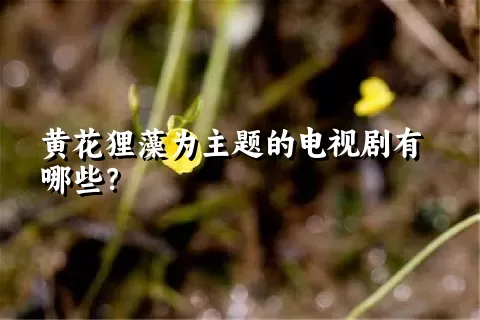 黄花狸藻为主题的电视剧有哪些？