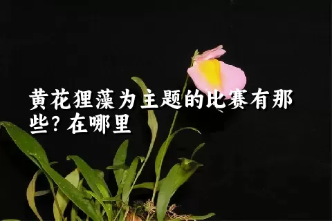 黄花狸藻为主题的比赛有那些？在哪里