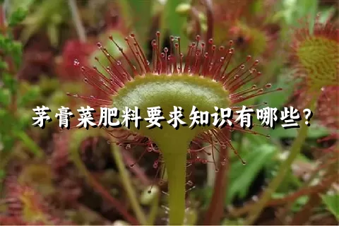 茅膏菜肥料要求知识有哪些？