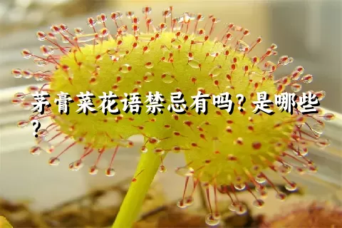 茅膏菜花语禁忌有吗？是哪些？