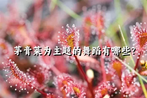 茅膏菜为主题的舞蹈有哪些？