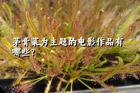 茅膏菜为主题的电影作品有哪些？