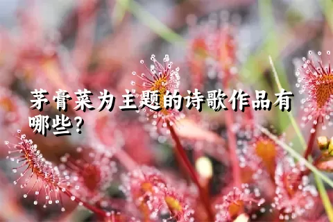 茅膏菜为主题的诗歌作品有哪些？